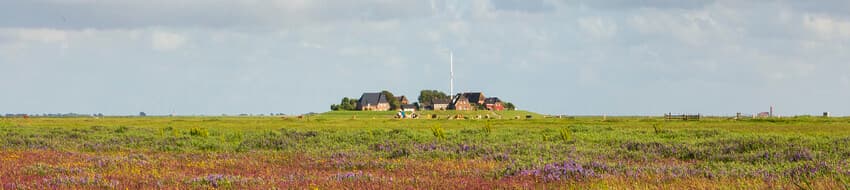 Hus Halligland