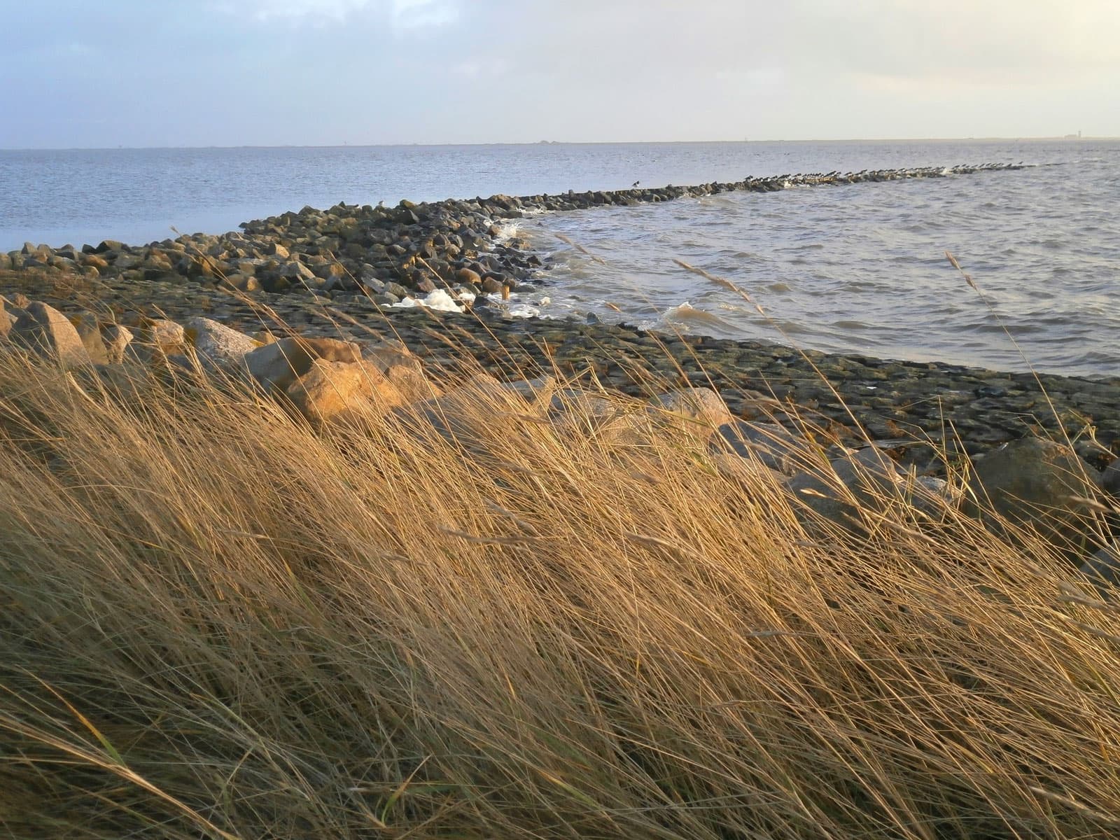 Hus Halligland